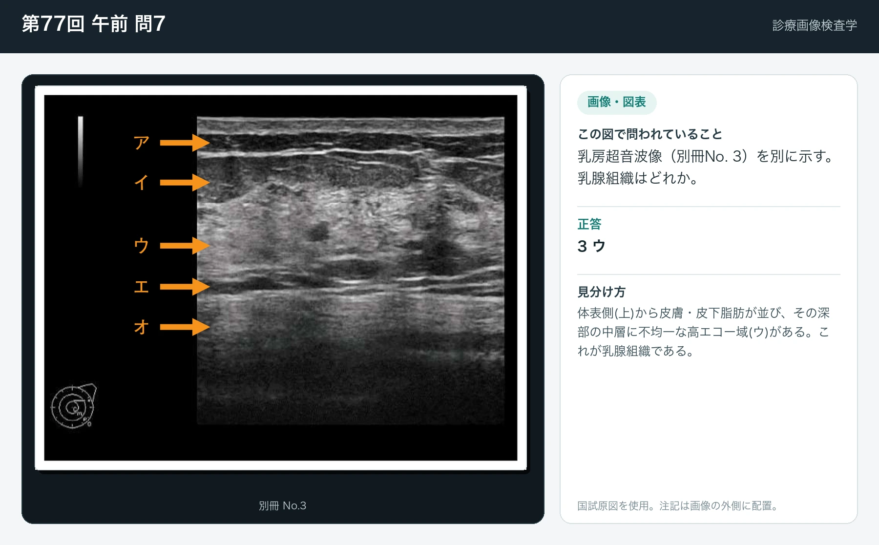 第77回 午前 問7の画像と見分け方