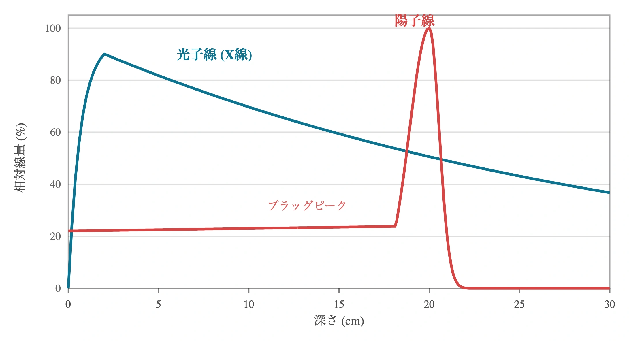 図: 陽子線のブラッグピークと光子線(X線)の深部線量分布の対比。光子線は体表付近でビルドアップした後なだらかに指数的減衰する。陽子線は入射部の線量が低く、飛程の終端で急峻なブラッグピークを形成した直後に急落する。深部の標的に線量を集中させ、その先の正常組織をほとんど照射しない。