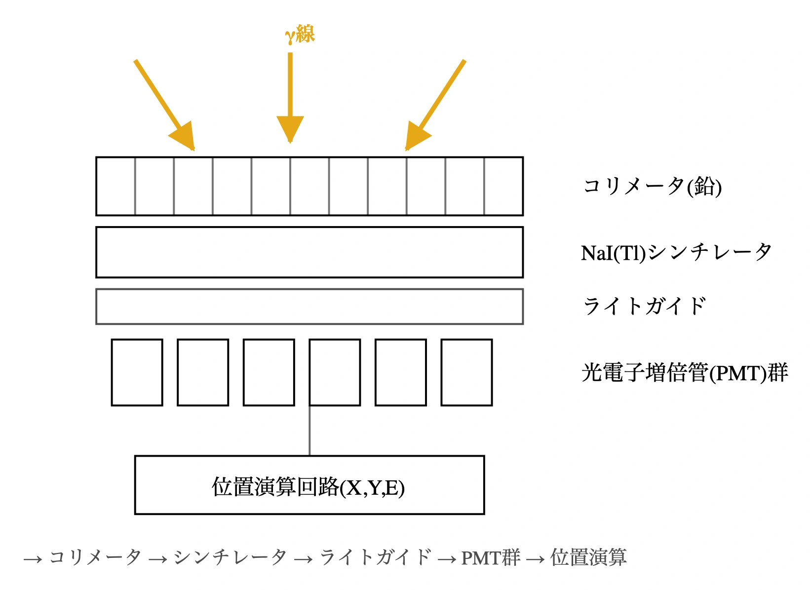 図: ガンマカメラ(シンチカメラ)の構成。被写体からのγ線(橙)は鉛コリメータで入射方向が制限され、NaI(Tl)シンチレータで蛍光に変換、ライトガイドを経て光電子増倍管(PMT)群で電気信号となり、位置演算回路で入射位置(X,Y)とエネルギー(E)が求められる。