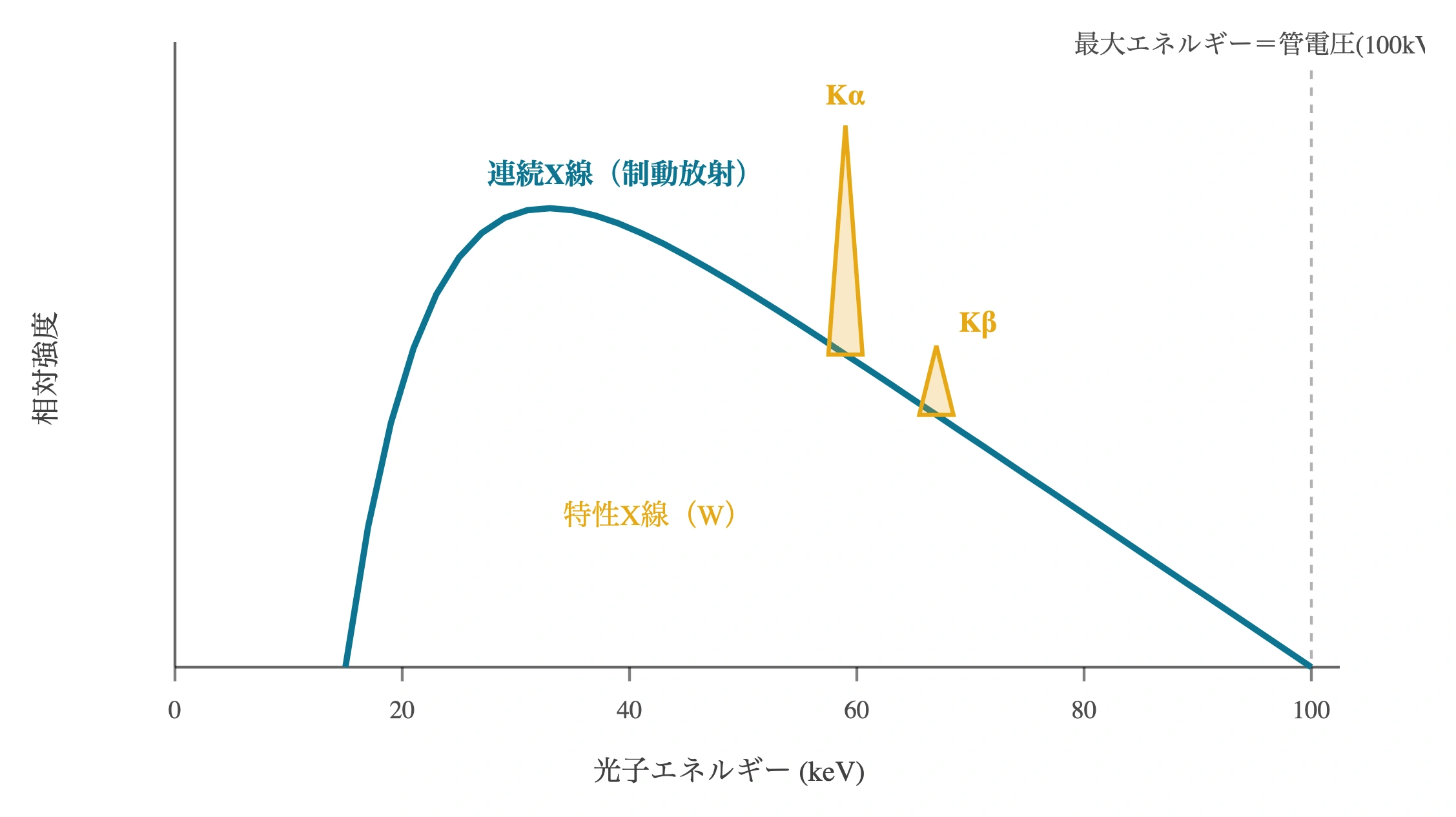図: X線スペクトル。連続X線(制動放射)の上に特性X線ピークが重なり、最大光子エネルギーは管電圧で決まる。