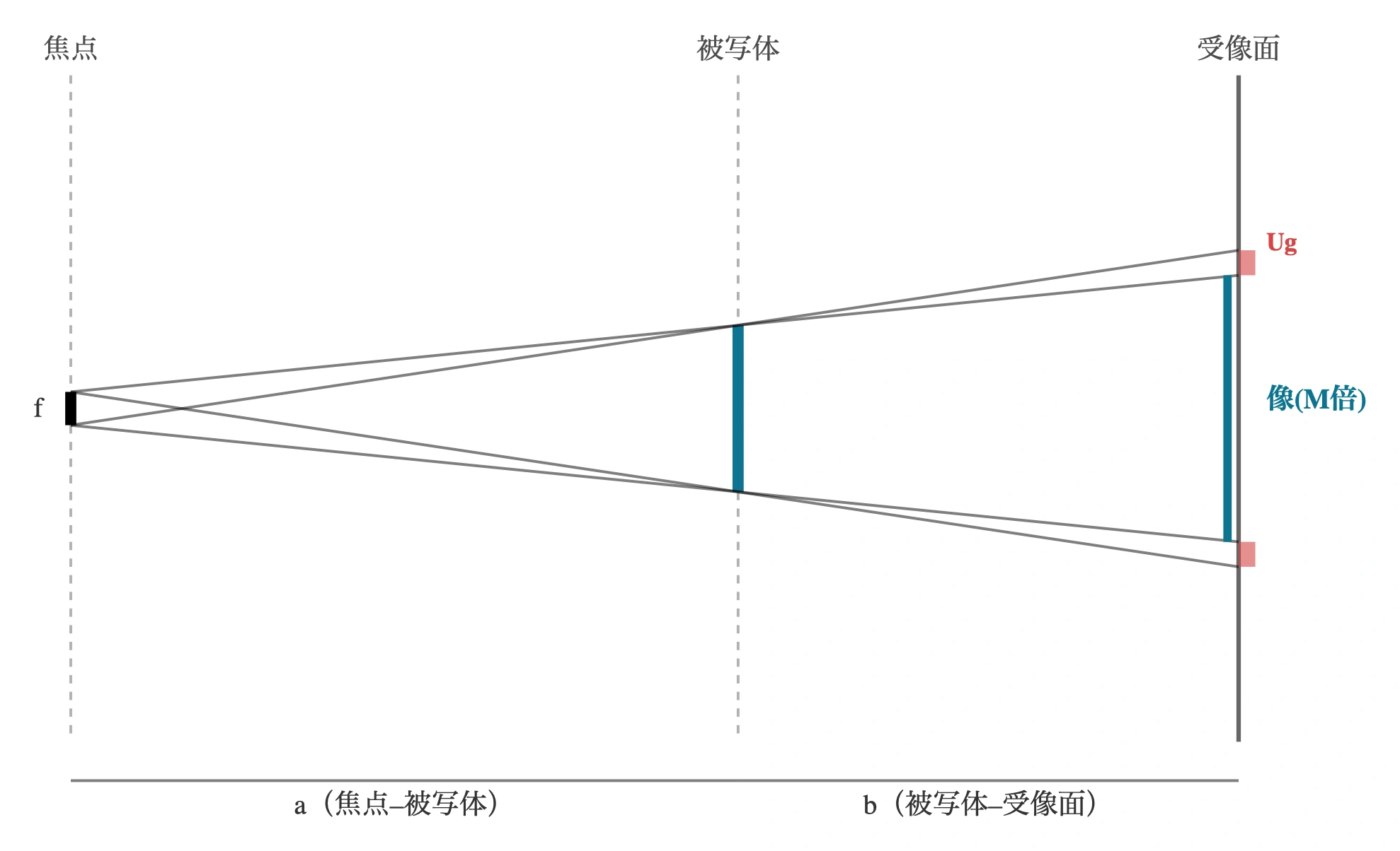 図: 幾何学的拡大と半影(ボケ)。有限の大きさをもつ焦点(高さf)から出た線が被写体の縁を通り受像面に達する。被写体の像は中心線でM=(a+b)/a倍に拡大され、焦点が点でないため各縁は半影Ug=f×(M−1)の幅でぼける。図はa:b＝4:3(M=1.75)で作図。