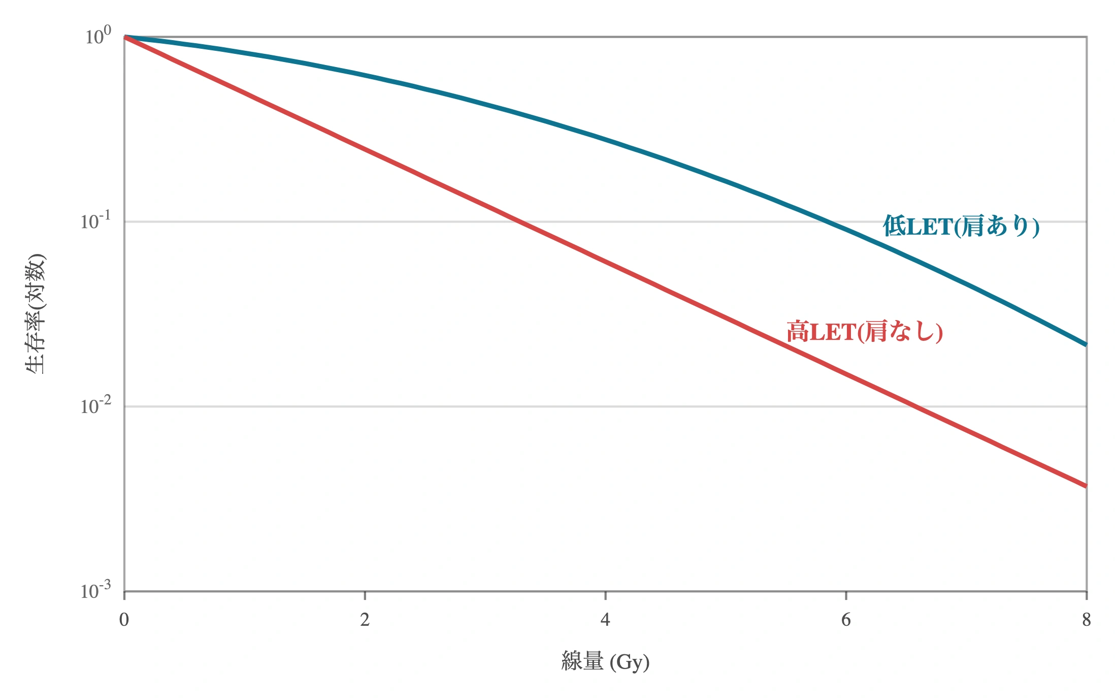 図: 細胞生存率曲線(片対数)。低LET放射線(青)は低線量域に「肩」をもちLQモデル S=exp(−αD−βD²) で表される曲線、高LET放射線(赤)は肩がなくほぼ直線となる。同一線量で高LETのほうが生存率が低い。
